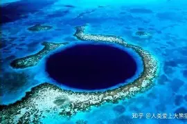 Scout场均17+8的内结果意外的简单介绍 Scout场均17+8的内结果意外的简单介绍